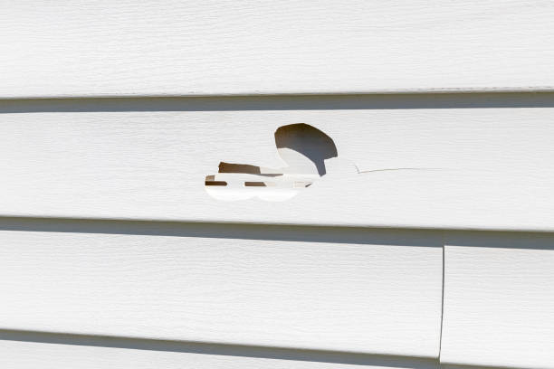 Best Stone Veneer Siding  in Salineville, OH